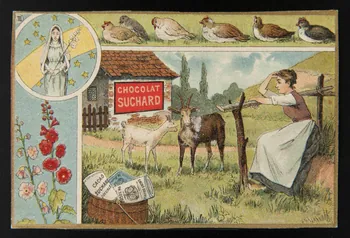 Suchard Philippe carte réclame chromo Neuchâtel 1880-1914 1996.40.187.7 Photo