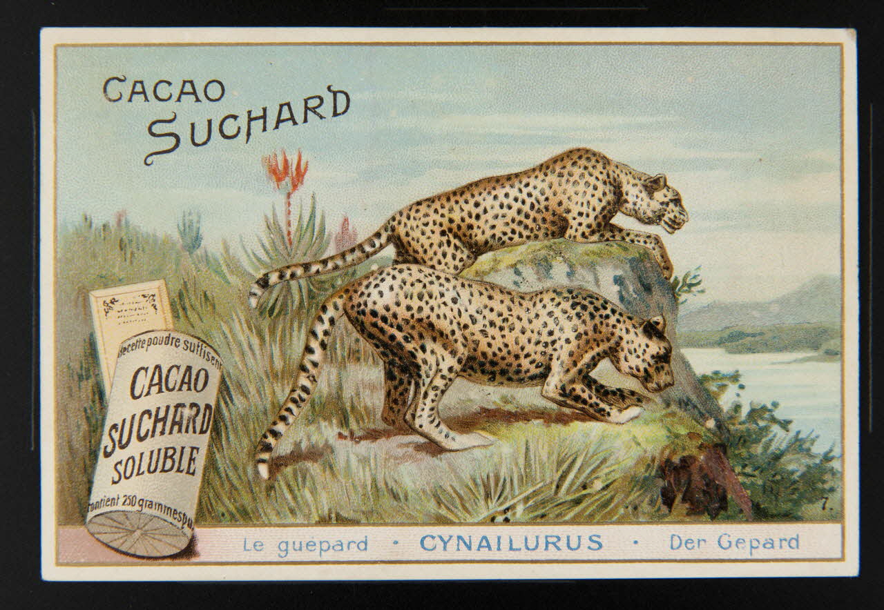 Suchard Philippe carte réclame chromo Neuchâtel 1880-1914 1996.40.191.3 Photo