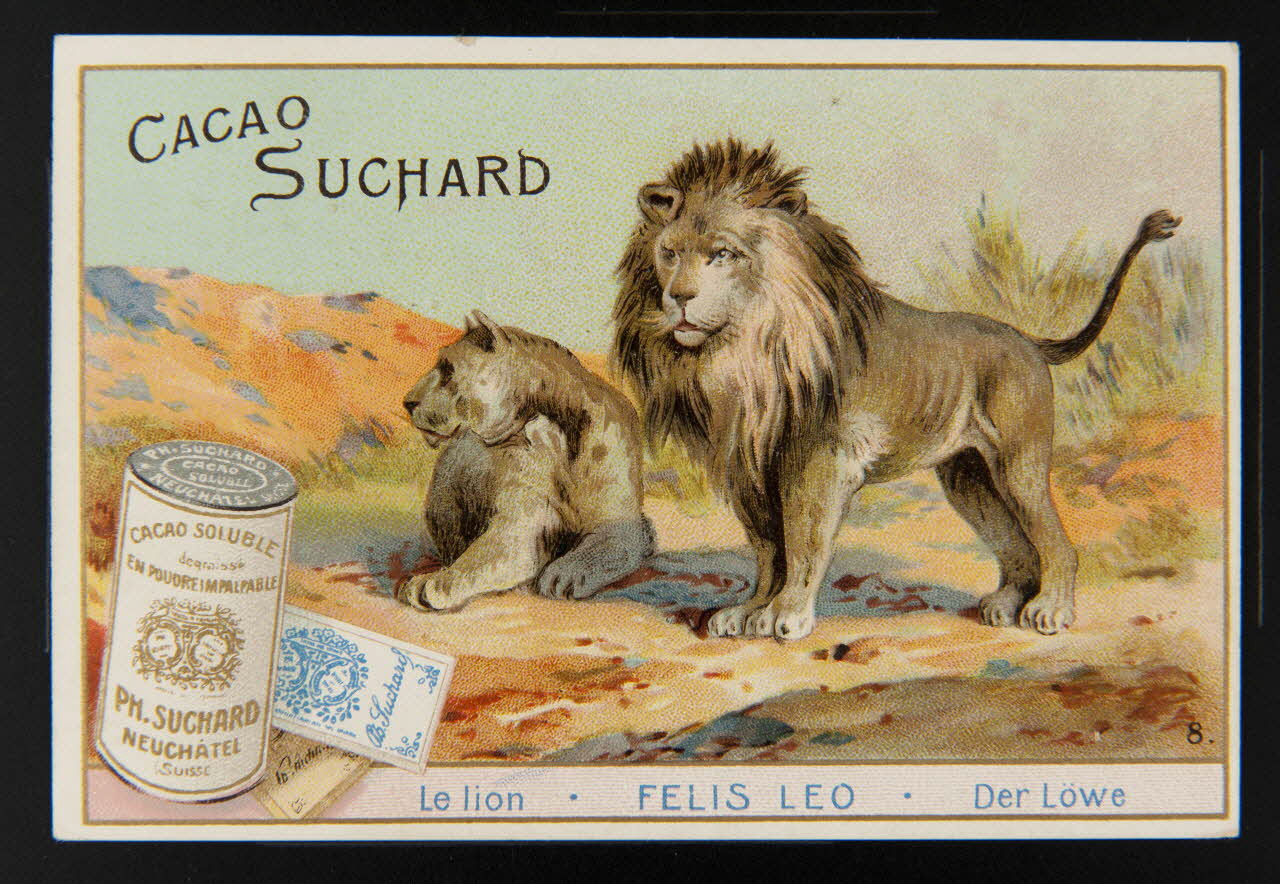 Suchard Philippe carte réclame chromo Neuchâtel 1880-1914 1996.40.191.4 Photo Mucem