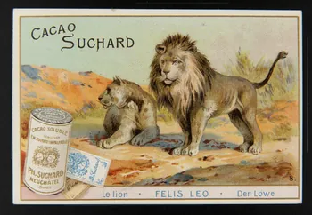 Suchard Philippe carte réclame chromo Neuchâtel 1880-1914 1996.40.191.4  Photo Mucem