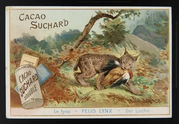 Suchard Philippe carte réclame chromo Neuchâtel 1880-1914 1996.40.191.5 Photo