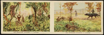 planche de cartes réclame chromo 1996.40.1936.3 Photo