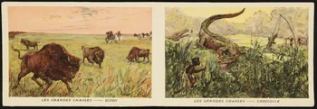 planche de cartes réclame chromo 1996.40.1936.4 Photo