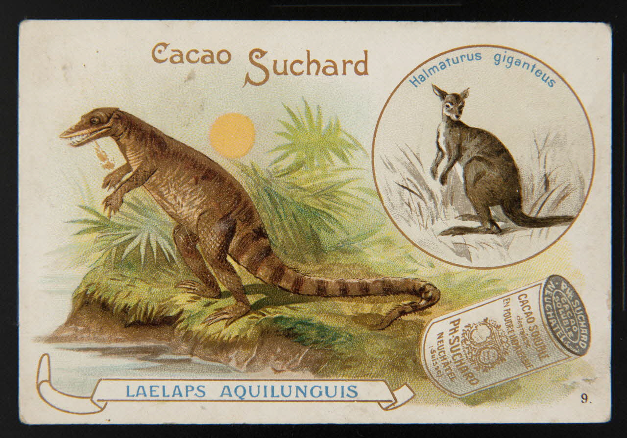 Suchard Philippe carte réclame chromo Neuchâtel 1880-1914 1996.40.196.5 Photo