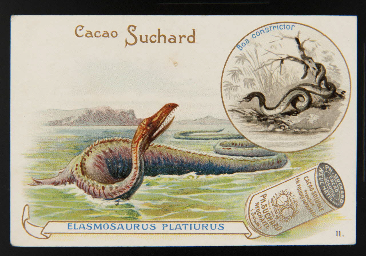 Suchard Philippe carte réclame chromo Neuchâtel 1880-1914 1996.40.196.6 Photo