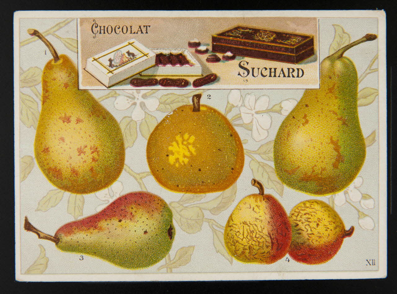 Suchard Philippe carte réclame chromo Neuchâtel 1880-1914 1996.40.197.1 Photo