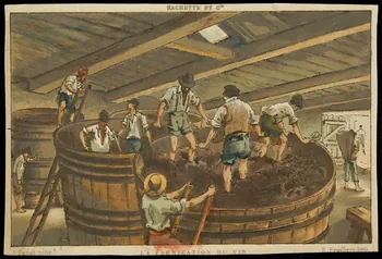 carte réclame LA FABRICATION DU VIN 1996.40.2028 Photo