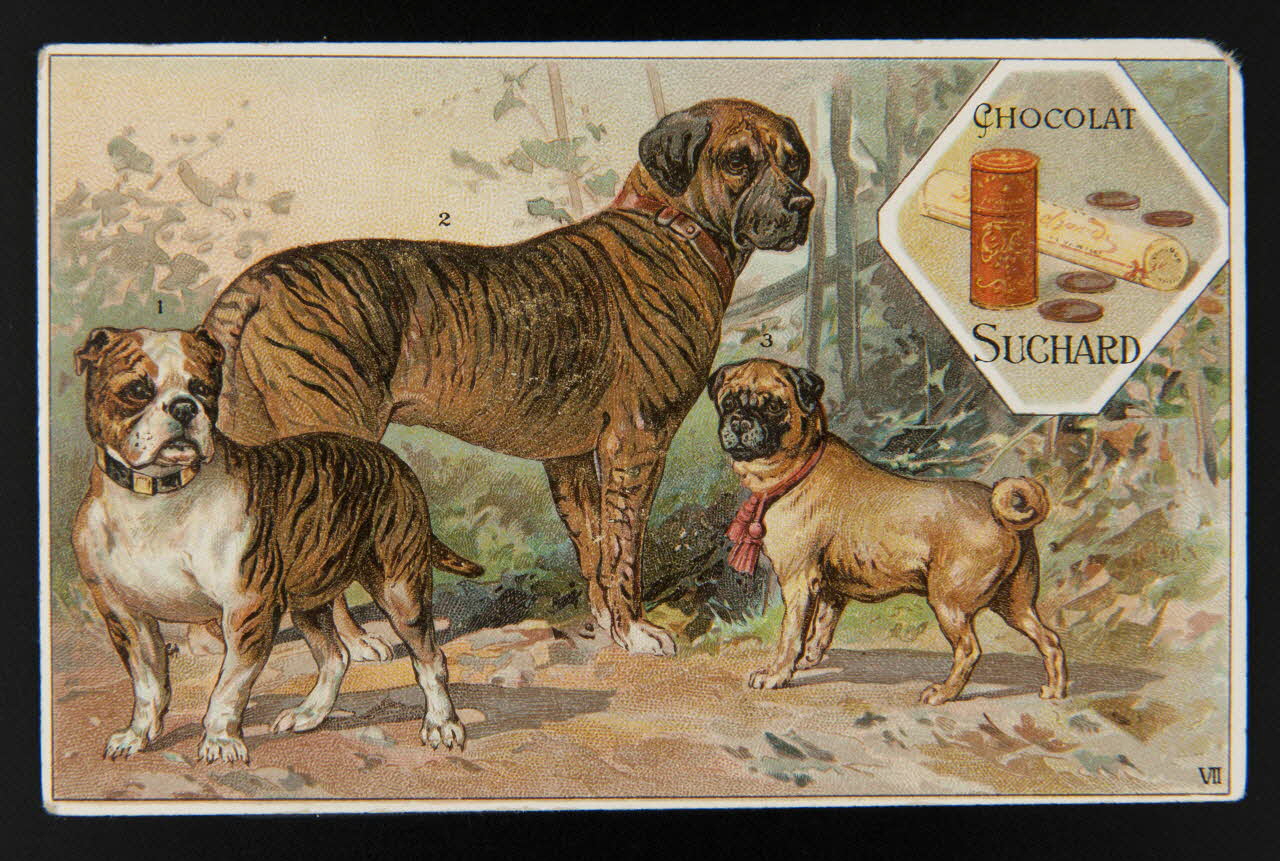 Suchard Philippe carte réclame chromo Neuchâtel 1880-1914 1996.40.203.2 Photo