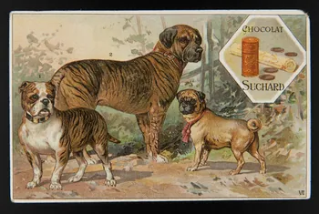 Suchard Philippe carte réclame chromo Neuchâtel 1880-1914 1996.40.203.2  Photo