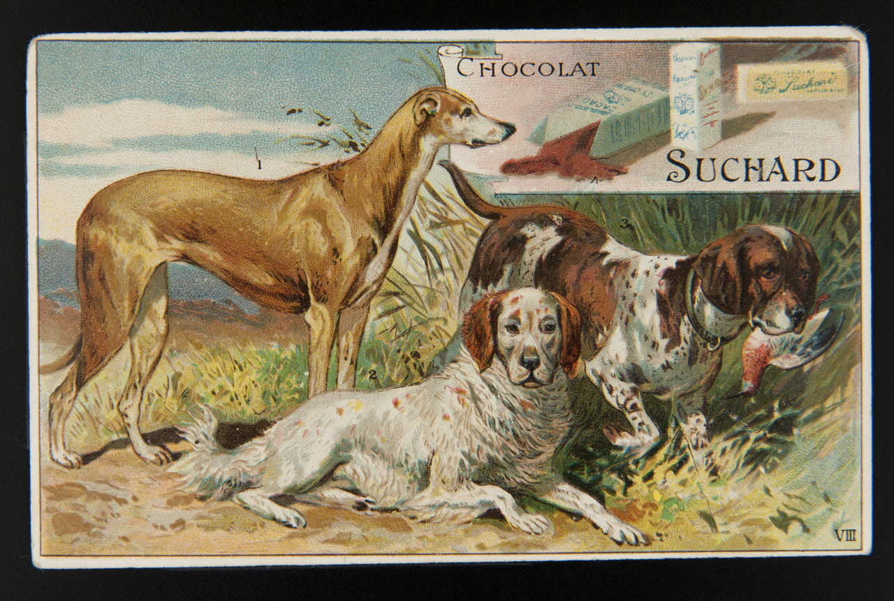Suchard Philippe carte réclame chromo Neuchâtel 1880-1914 1996.40.203.3 Photo
