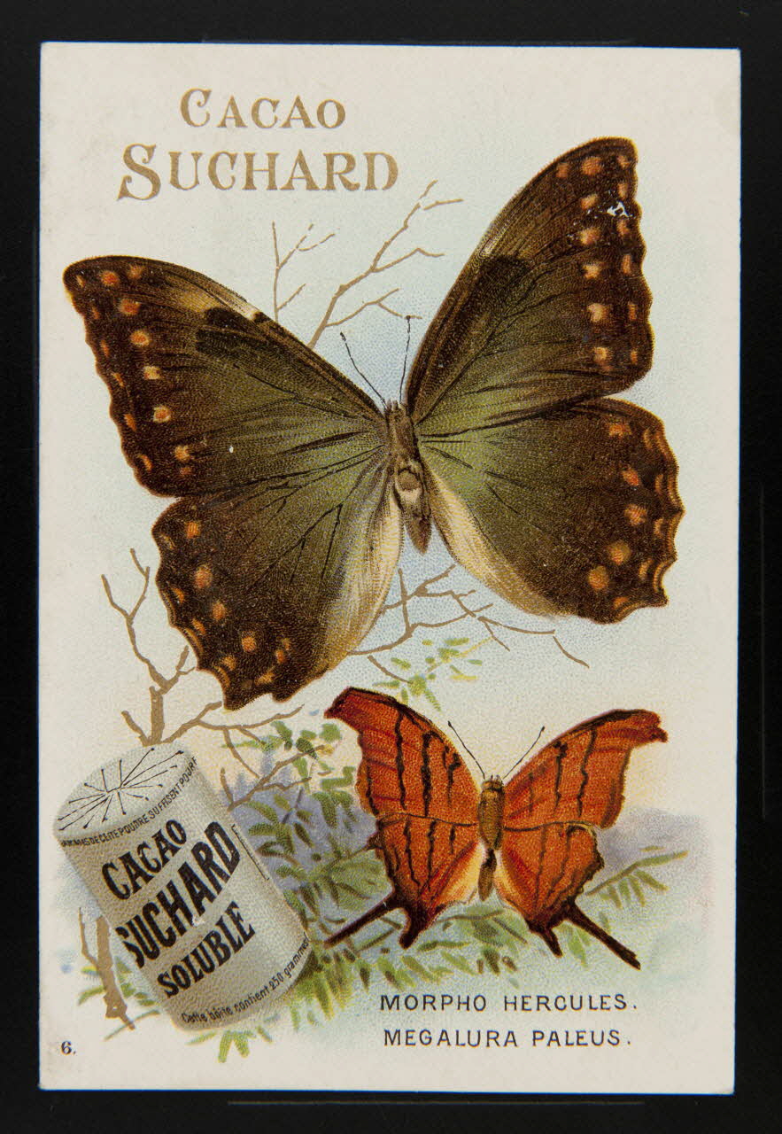 Suchard Philippe carte réclame chromo Neuchâtel 1880-1914 1996.40.204.1 Photo