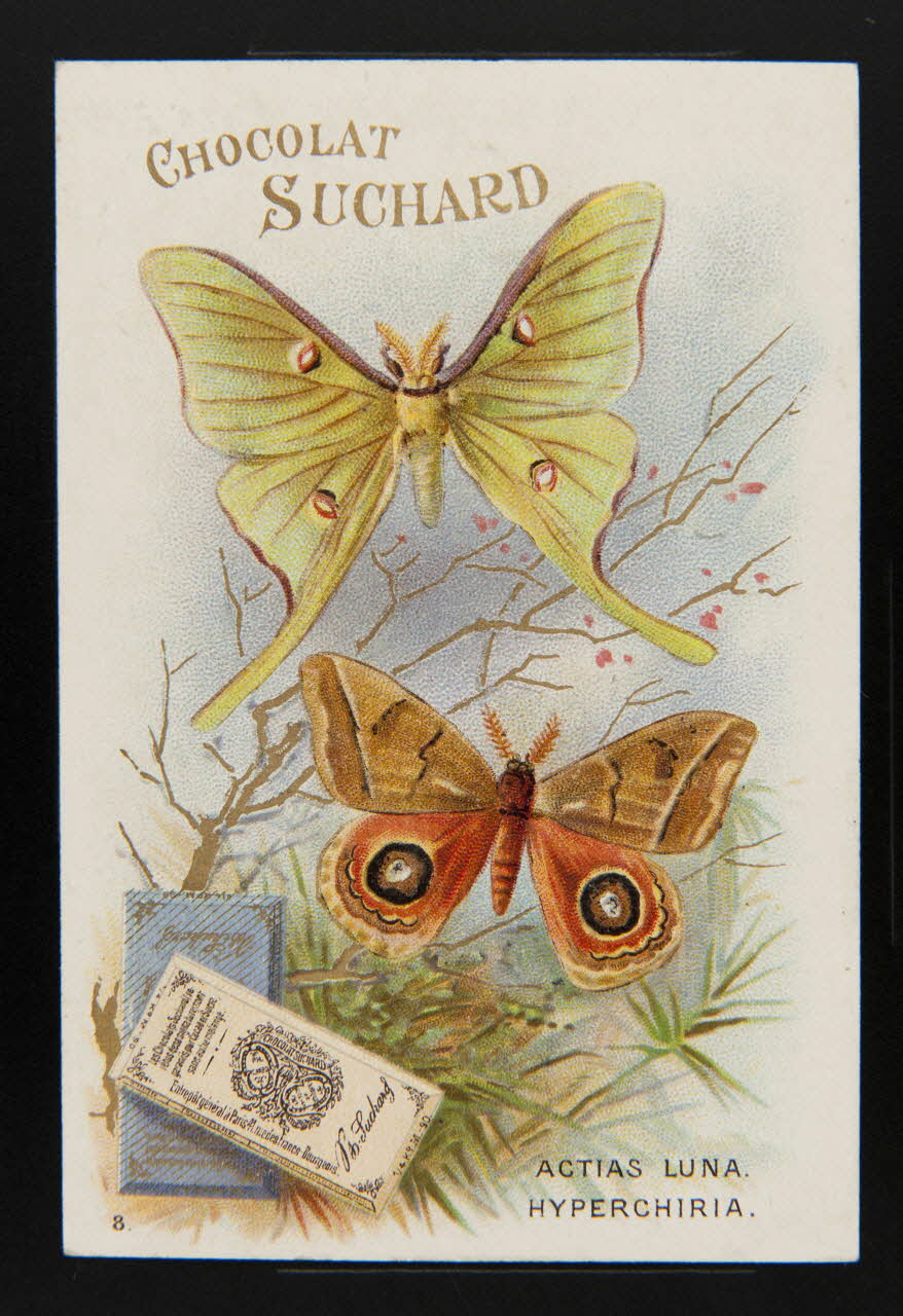 Suchard Philippe carte réclame chromo Neuchâtel 1880-1914 1996.40.204.2 Photo