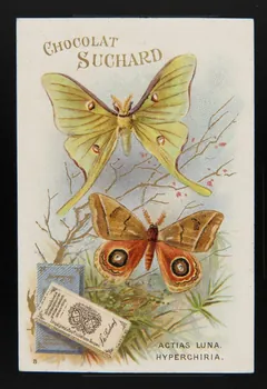 Suchard Philippe carte réclame chromo Neuchâtel 1880-1914 1996.40.204.2 Photo