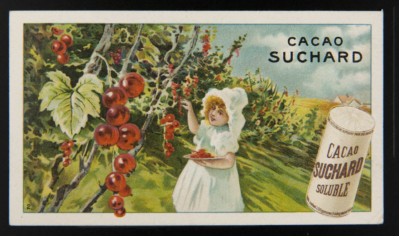 Suchard Philippe carte réclame chromo Neuchâtel 1880-1914 1996.40.210.2 Photo