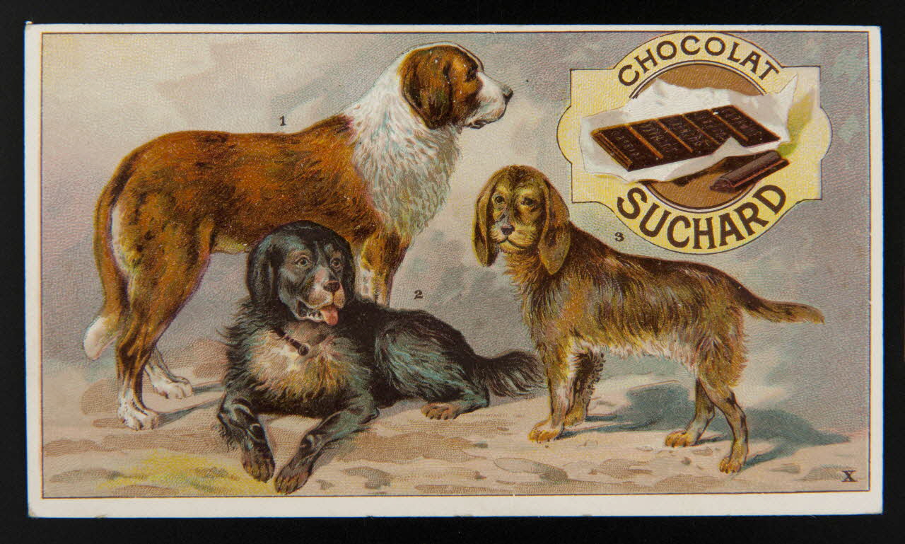 Suchard Philippe carte réclame chromo Neuchâtel 1880-1914 1996.40.213.1 Photo