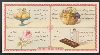Suchard Philippe carte réclame chromo Neuchâtel 1880-1914 1996.40.217.2 Photo