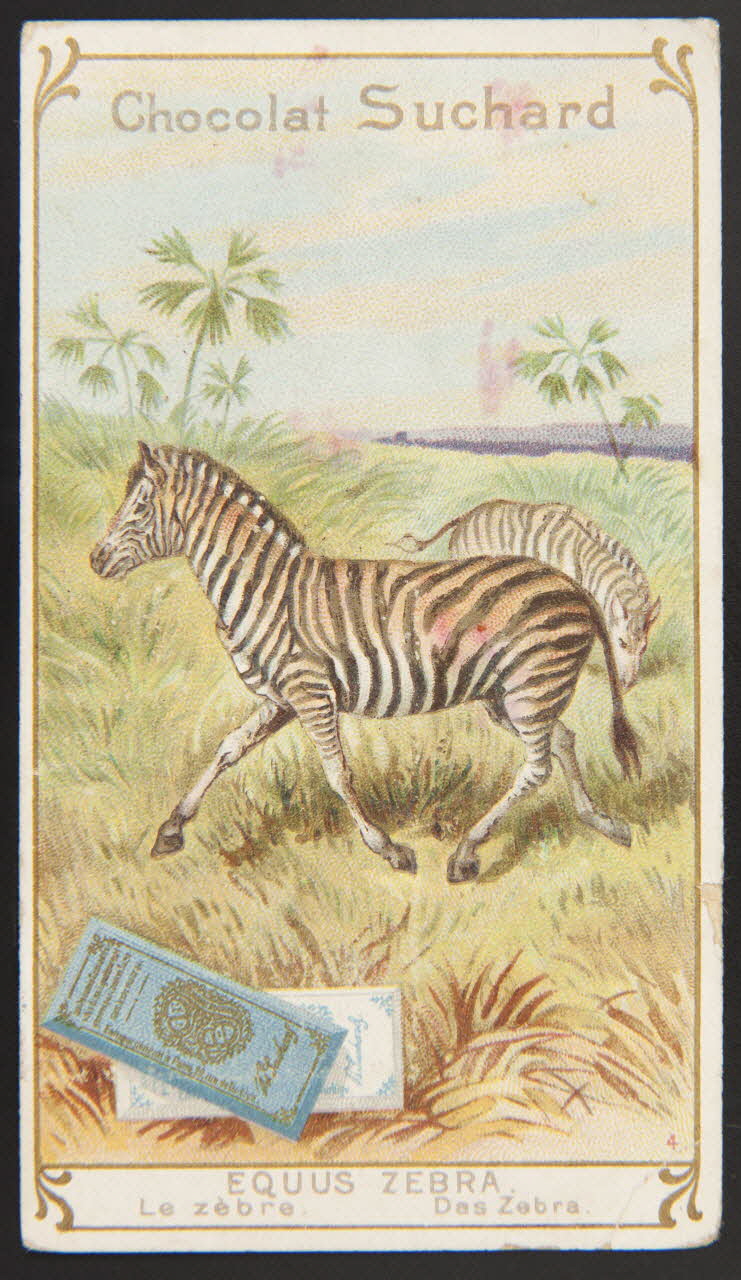 Suchard Philippe carte réclame chromo Neuchâtel 1880-1914 1996.40.219.1 Photo