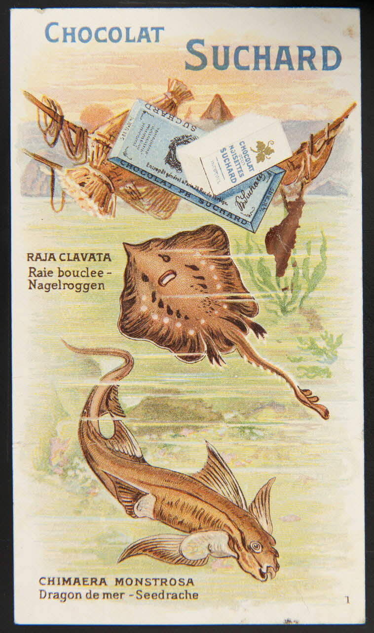 Suchard Philippe carte réclame chromo Neuchâtel 1880-1914 1996.40.226.1 Photo