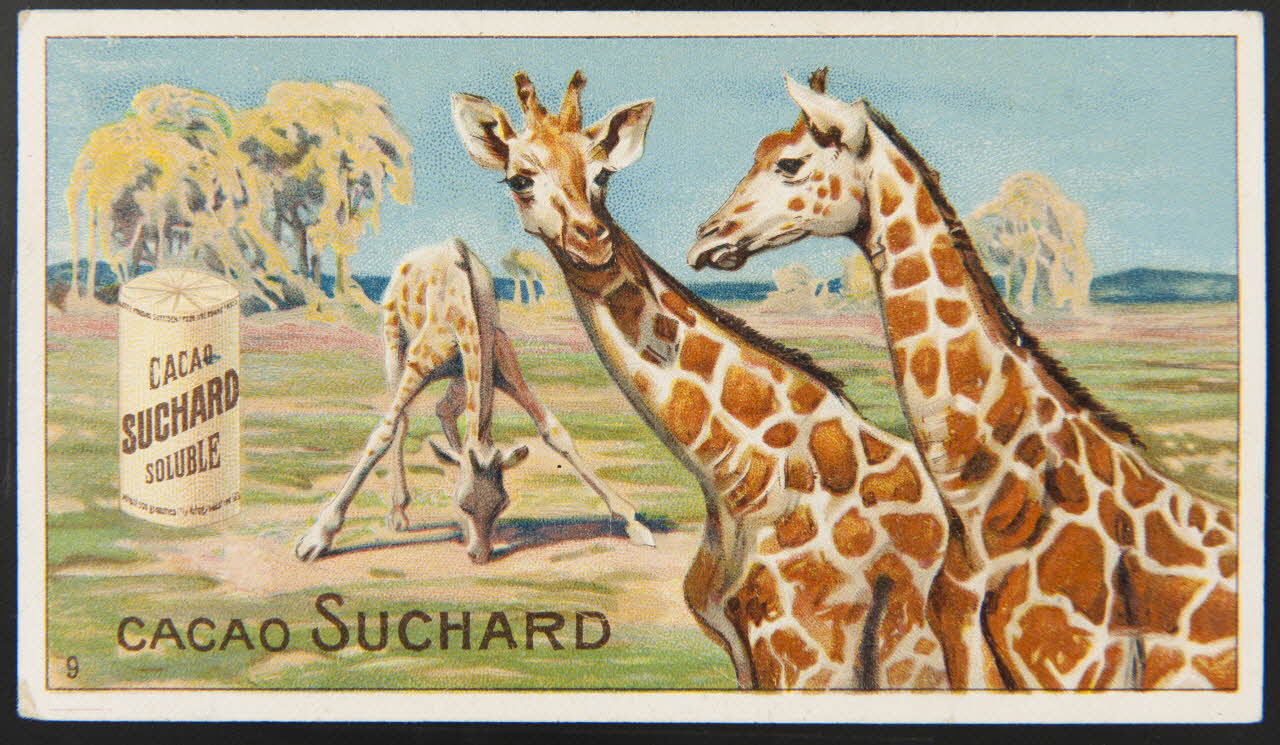 Suchard Philippe carte réclame chromo Neuchâtel 1880-1914 1996.40.229.2 Photo