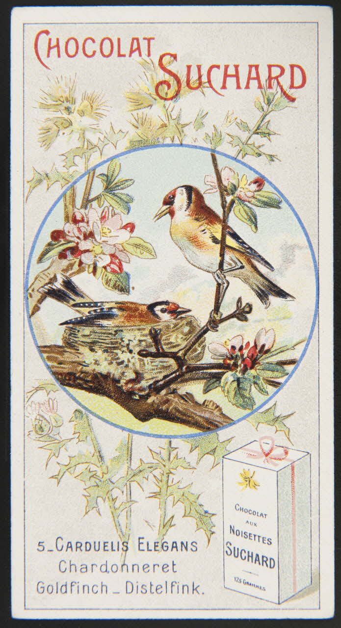 Suchard Philippe carte réclame chromo Neuchâtel 1880-1914 1996.40.235.3 Photo