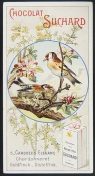 Suchard Philippe carte réclame chromo Neuchâtel 1880-1914 1996.40.235.3 Photo
