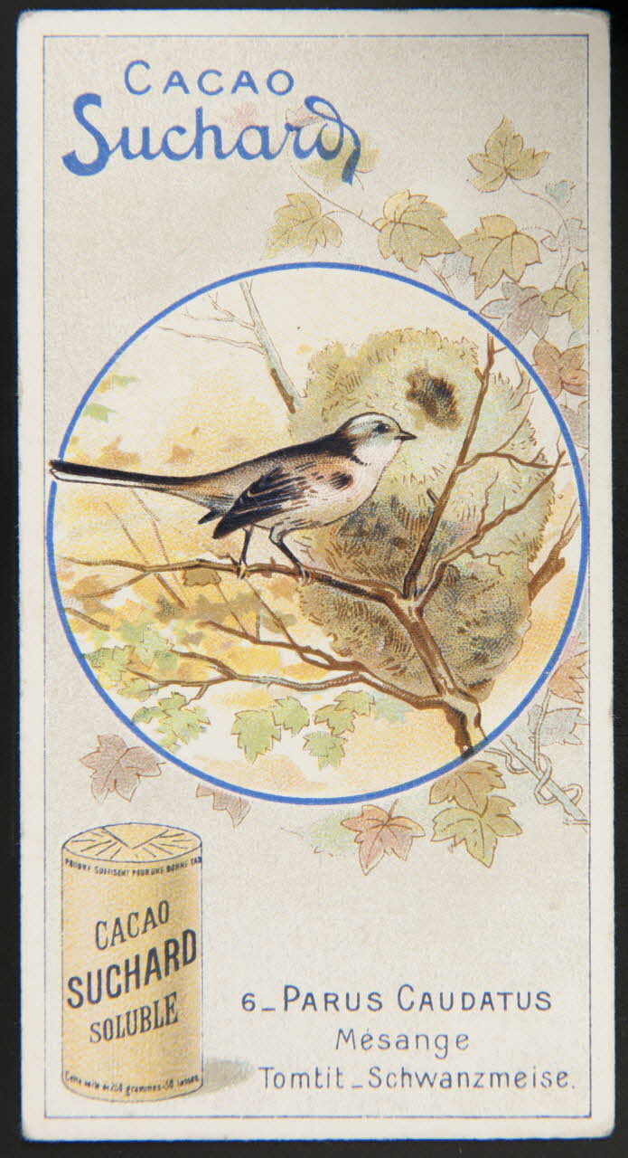 Suchard Philippe carte réclame chromo Neuchâtel 1880-1914 1996.40.235.4 Photo