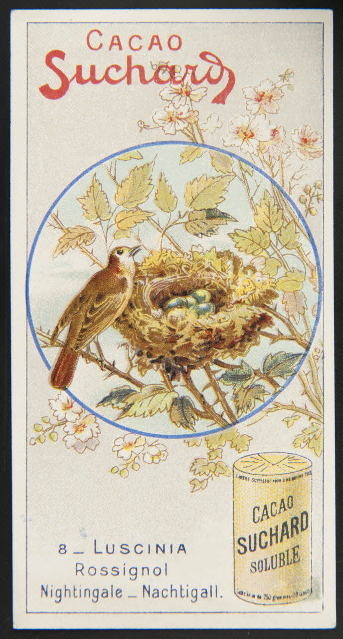 Suchard Philippe carte réclame chromo Neuchâtel 1880-1914 1996.40.235.5 Photo