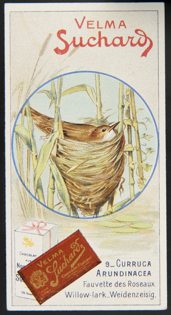 Suchard Philippe carte réclame chromo Neuchâtel 1880-1914 1996.40.235.6 Photo