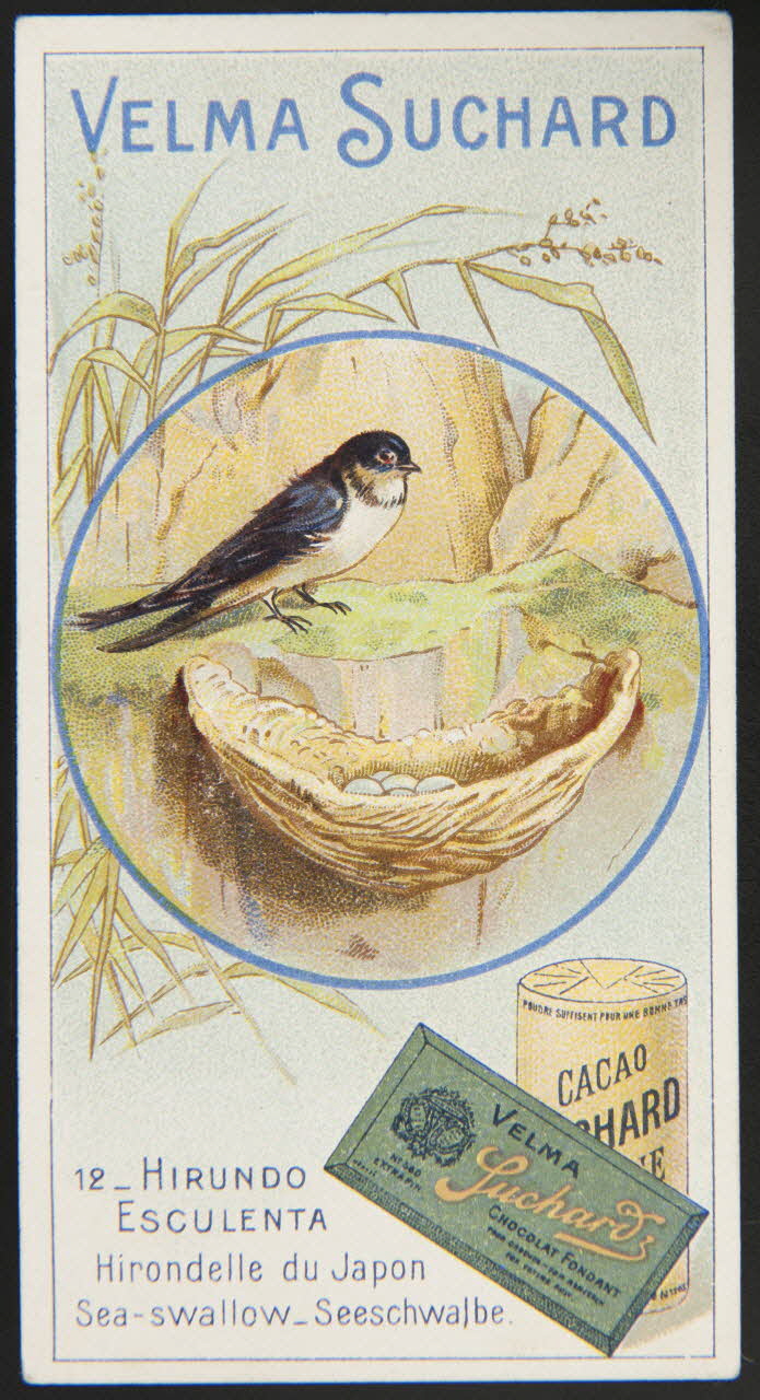 Suchard Philippe carte réclame chromo Neuchâtel 1880-1914 1996.40.235.8 Photo