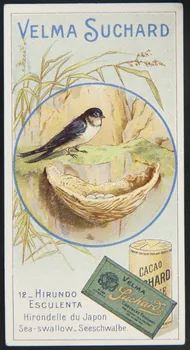 Suchard Philippe carte réclame chromo Neuchâtel 1880-1914 1996.40.235.8 Photo