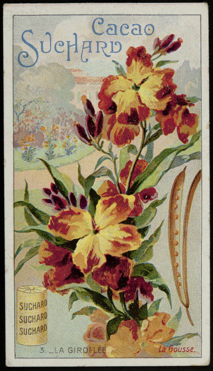 Suchard Philippe carte réclame chromo Neuchâtel 1880-1914 1996.40.251.1 Photo