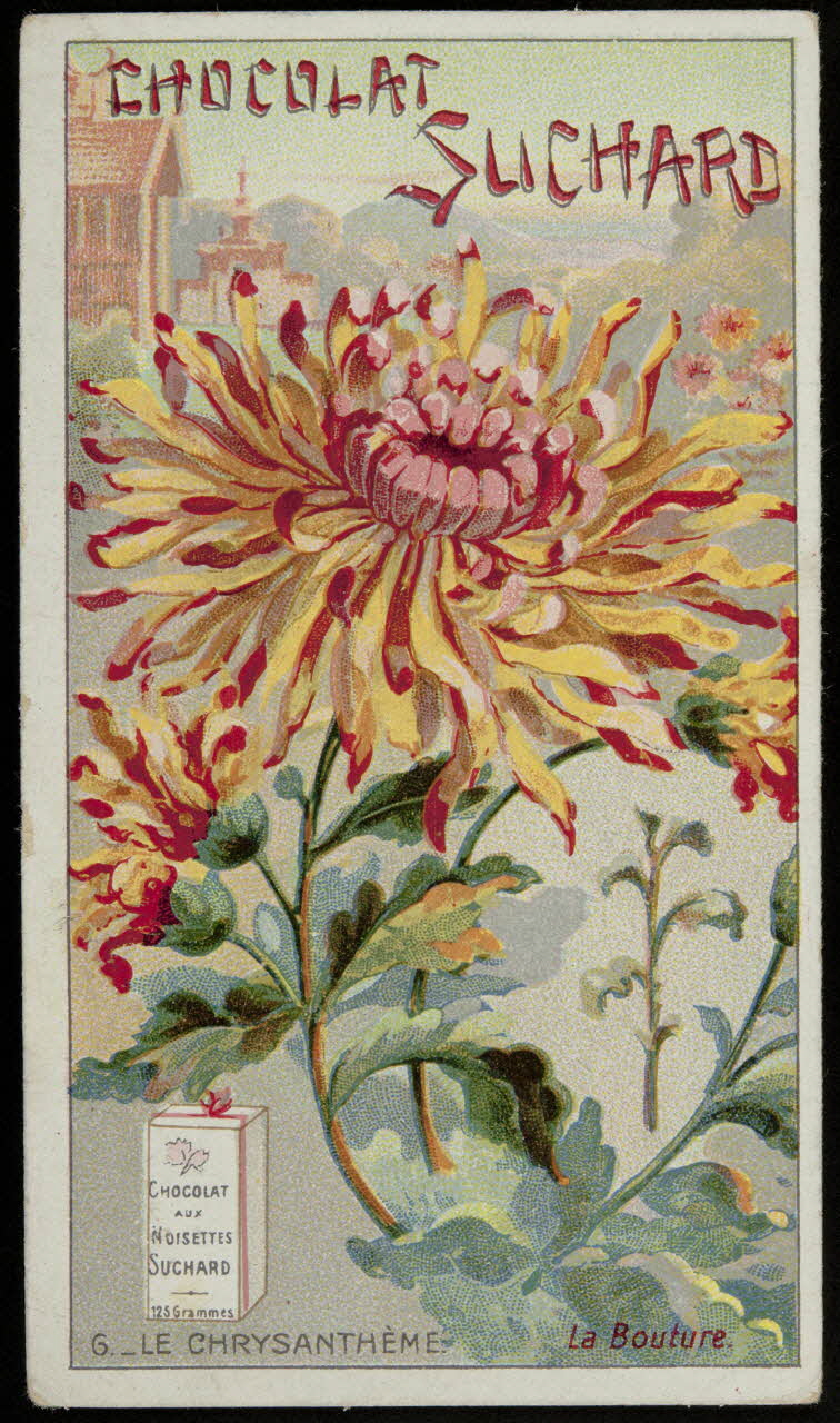 Suchard Philippe carte réclame chromo Neuchâtel 1880-1914 1996.40.251.2 Photo