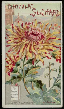 Suchard Philippe carte réclame chromo Neuchâtel 1880-1914 1996.40.251.2 Photo