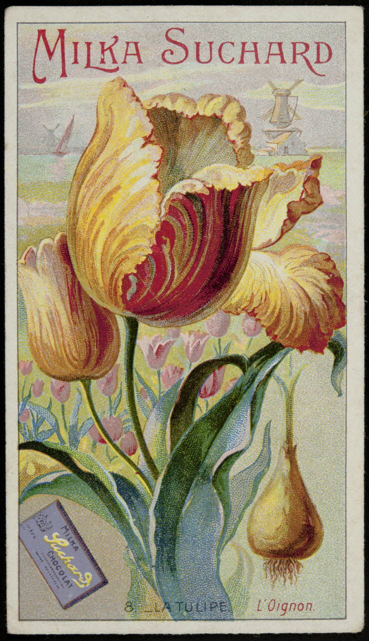 Suchard Philippe carte réclame chromo Neuchâtel 1880-1914 1996.40.251.3 Photo