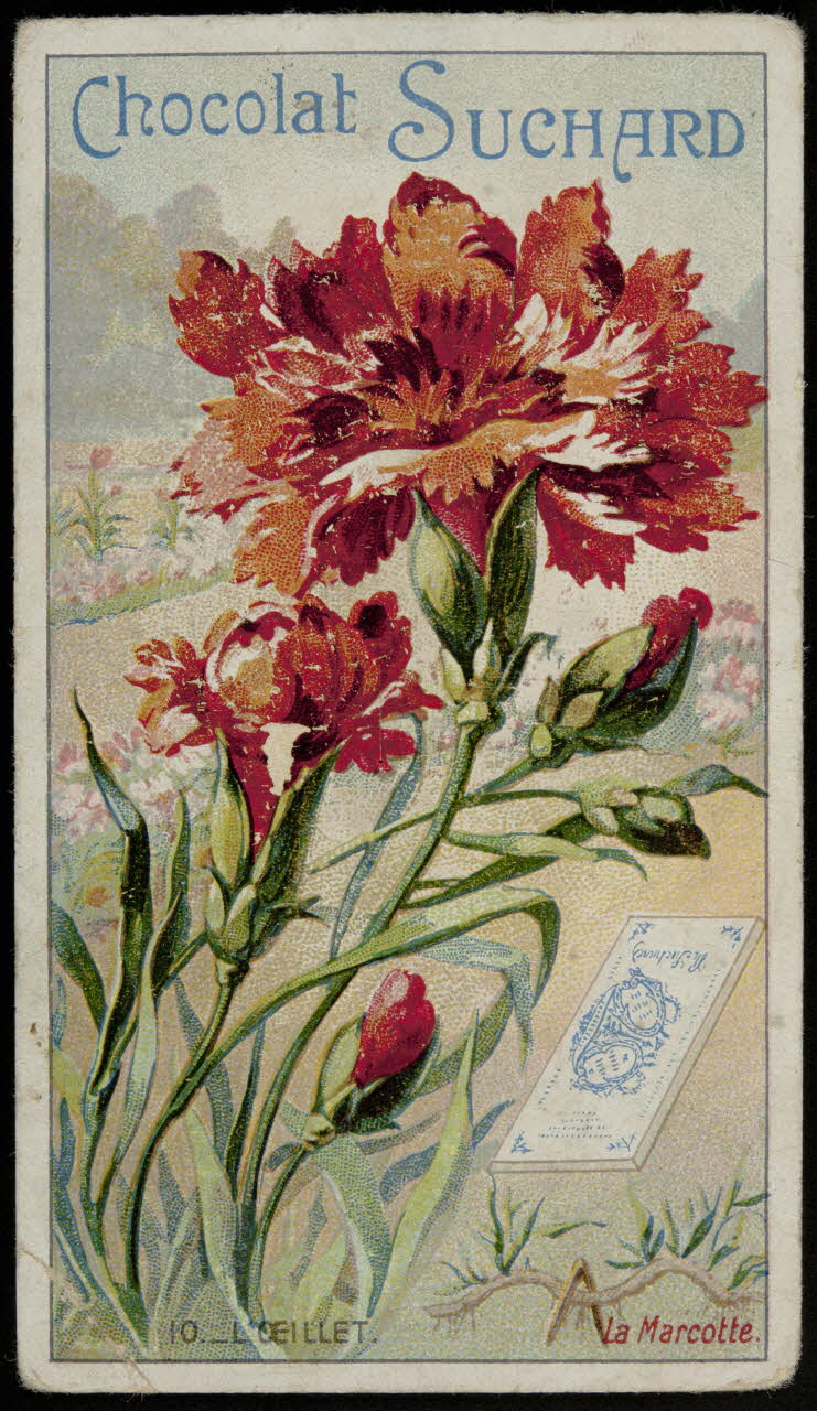 Suchard Philippe carte réclame chromo Neuchâtel 1880-1914 1996.40.251.5 Photo