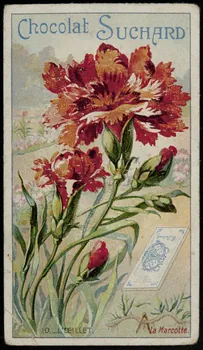 Suchard Philippe carte réclame chromo Neuchâtel 1880-1914 1996.40.251.5  Photo