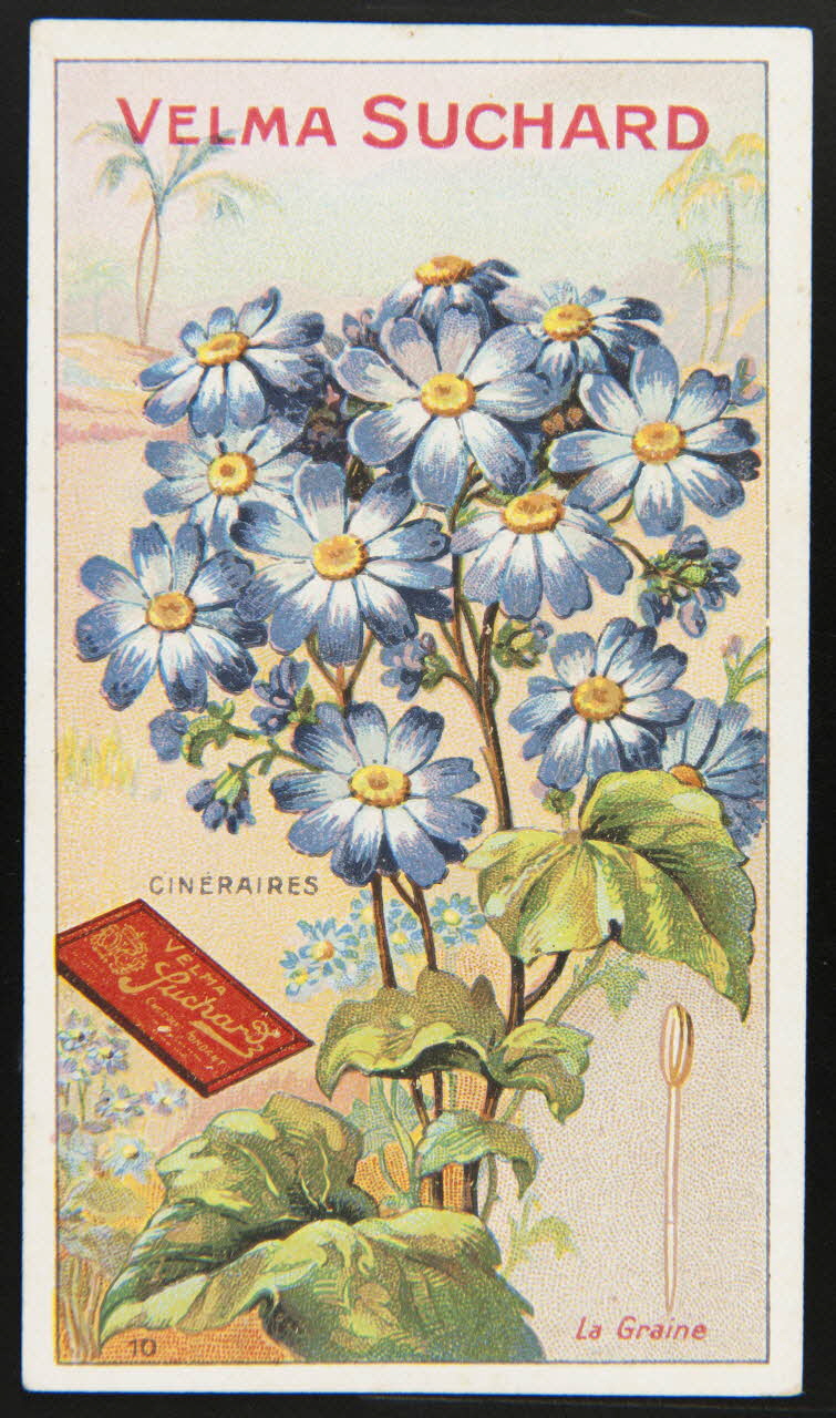 Suchard Philippe carte réclame chromo Neuchâtel 1880-1914 1996.40.259.2 Photo