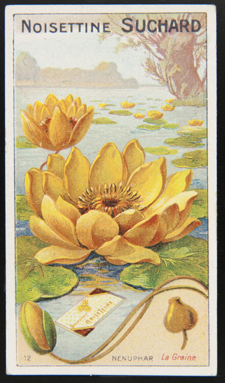 Suchard Philippe carte réclame chromo Neuchâtel 1880-1914 1996.40.259.3 Photo
