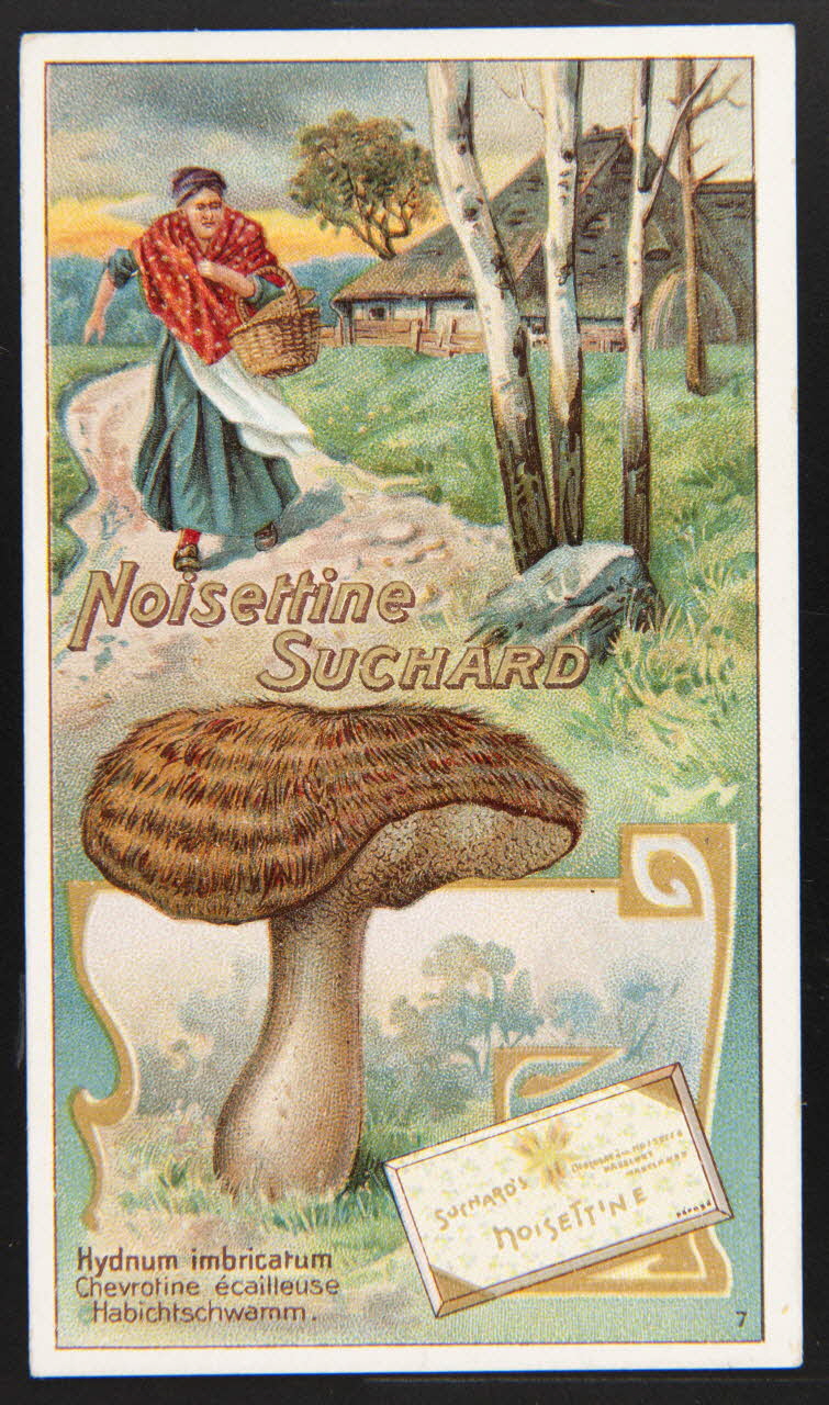 Suchard Philippe carte réclame chromo Neuchâtel 1880-1914 1996.40.269.1 Photo