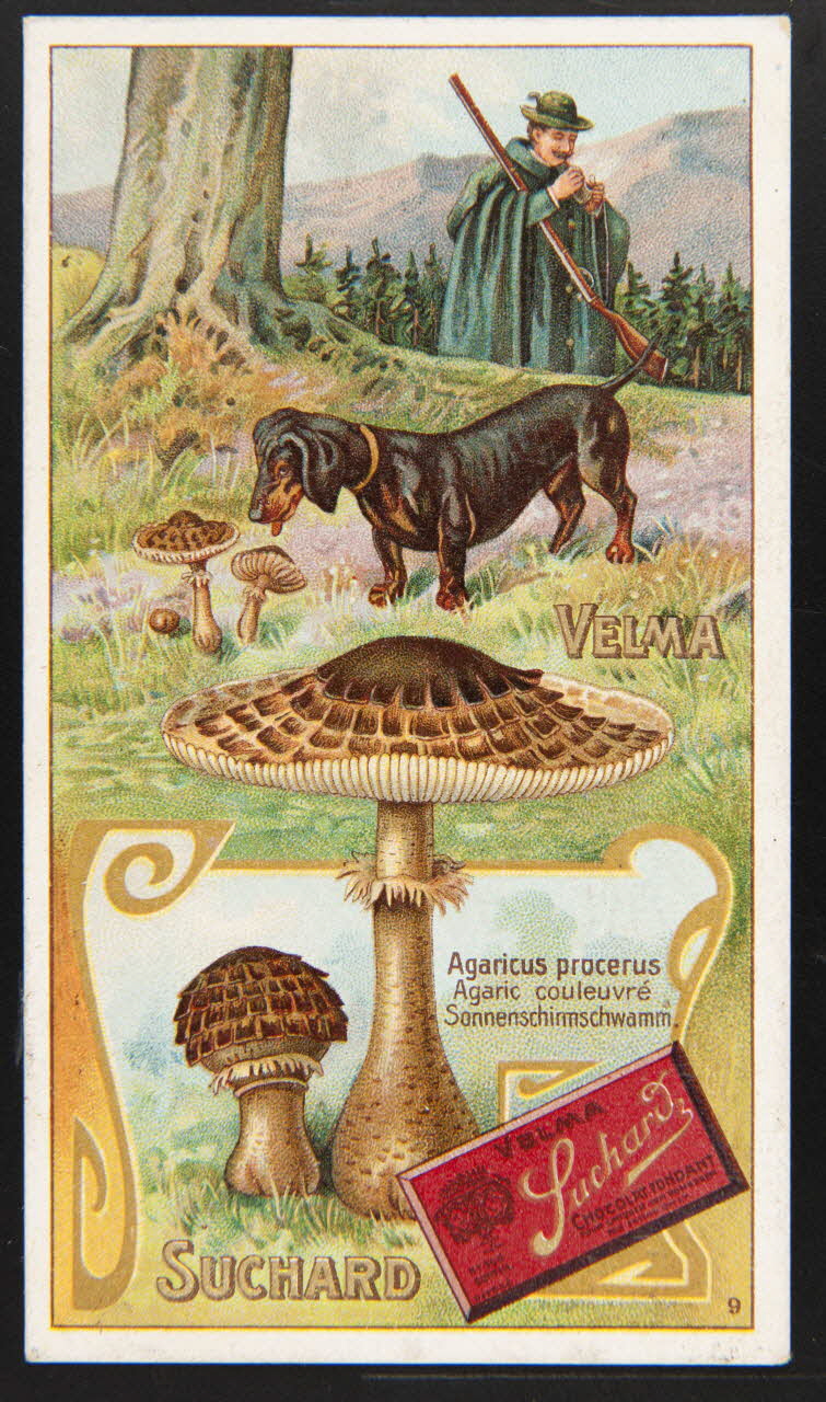 Suchard Philippe carte réclame chromo Neuchâtel 1880-1914 1996.40.269.2 Photo