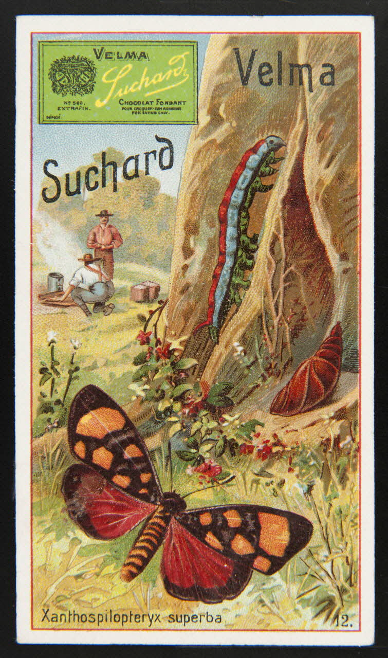 Suchard Philippe carte réclame chromo Neuchâtel 1880-1914 1996.40.271.4 Photo