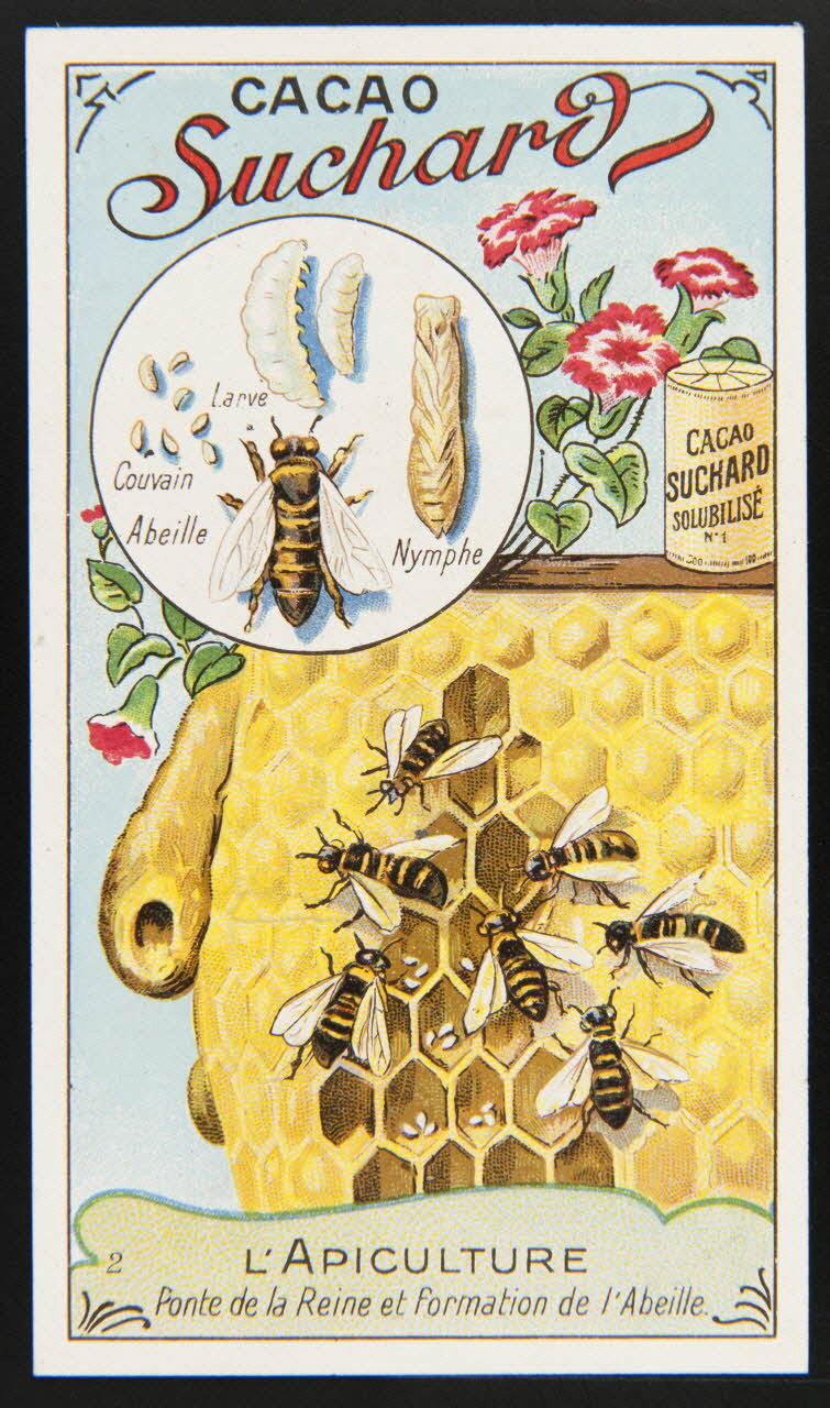 Suchard Philippe carte réclame chromo Neuchâtel 1880-1914 1996.40.274.2 Photo