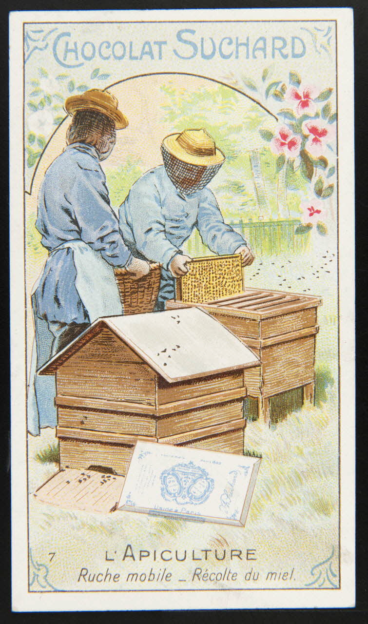 Suchard Philippe carte réclame chromo Neuchâtel 1880-1914 1996.40.274.4 Photo