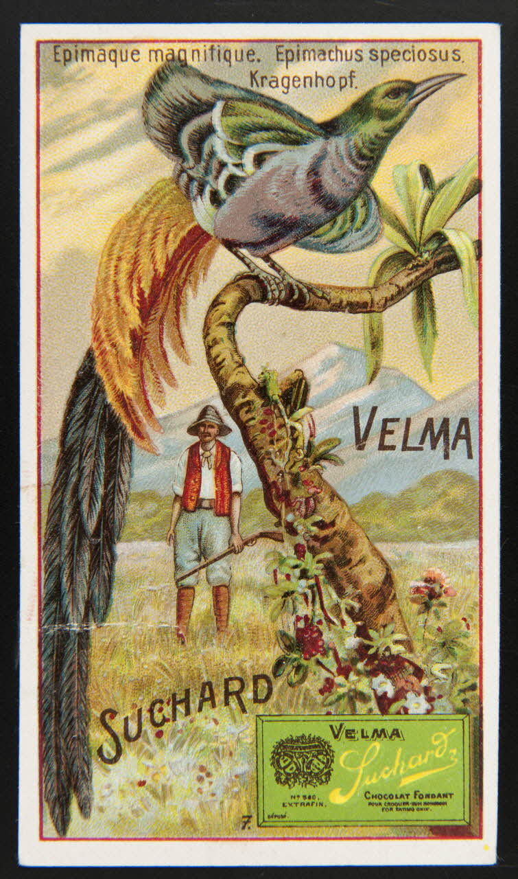 Suchard Philippe carte réclame chromo Neuchâtel 1880-1914 1996.40.278.1 Photo