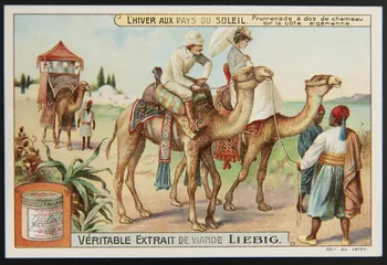 Liebig carte réclame chromo 1910 1996.40.283.4 Photo