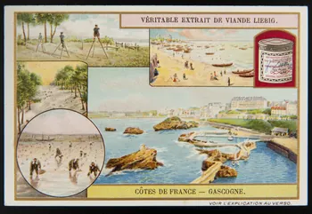 Liebig carte réclame chromo 1909 1996.40.285.2 Photo