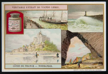 Liebig carte réclame chromo 1909 1996.40.285.5 Photo