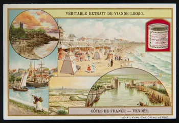 Liebig carte réclame chromo 1909 1996.40.285.6 Photo