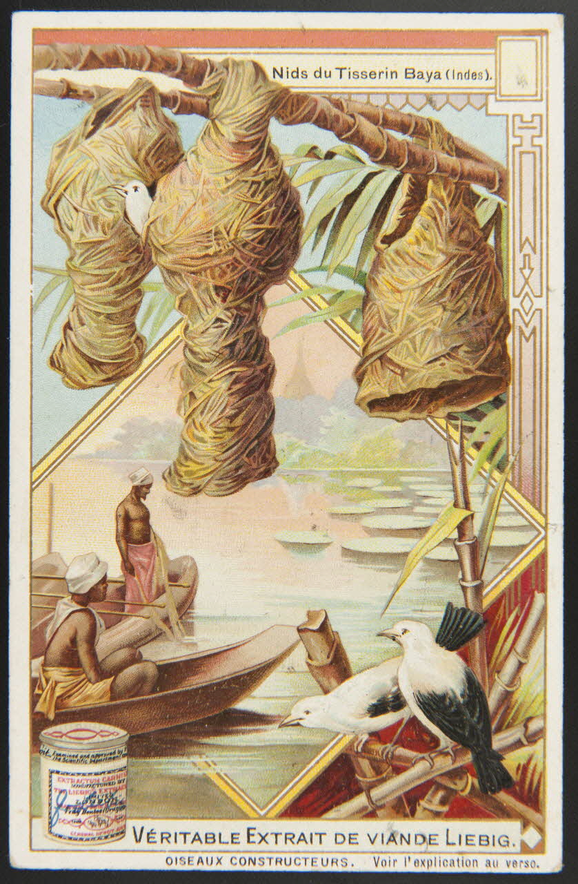 Liebig carte réclame chromo 1904 1996.40.286.1 Photo