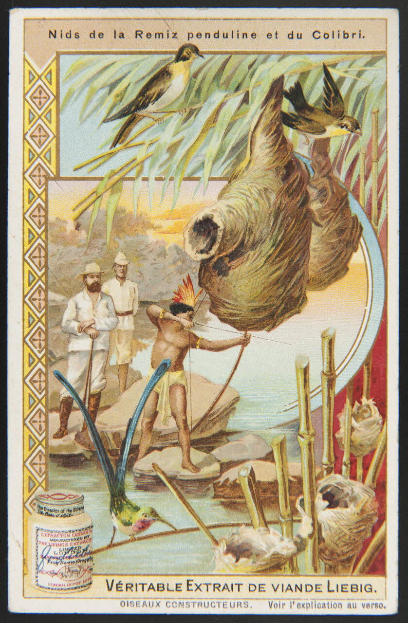 Liebig carte réclame chromo 1904 1996.40.286.5 Photo